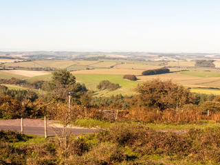 hardy monument tall building old special england dorset black down countryside nature landscape