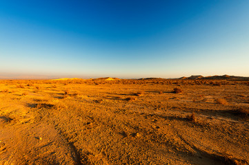 Whimsical Patterns of the Desert