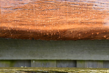 Regenwasser auf Holz