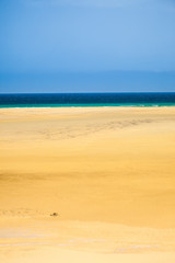 Fototapeta na wymiar Natural beach on Fuerteventura island, Canary