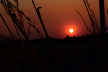 Traumhafter Sonnenuntergang in Deutschland