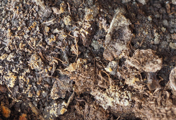 dirty earth soil background