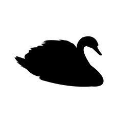 Swan black silhouette, isolated on white