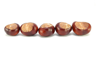 Ripe chestnuts on white background close-up 