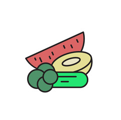 Food with high water content. Cartoon design icon. Colorful flat vector illustration. Isolated on white background.