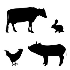 Vector silhouette of farm animal on white background.