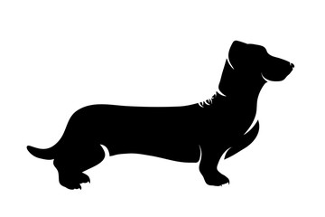 Vector silhouette of dog on white background.