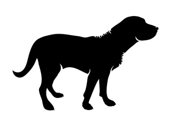 Vector silhouette of dog on white background.
