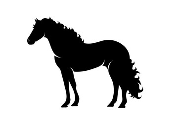 Vector silhouette of horse on white background.