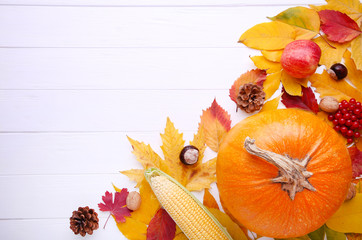 Orange pumpkin with leaves and vegetables on white