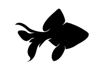 Vector silhouette of fish on white background.