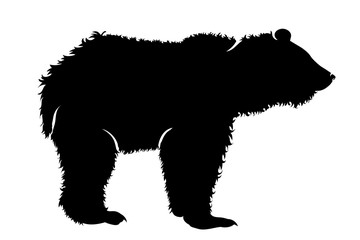 Vector silhouette of bear on white background.