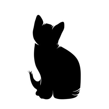 Vector silhouette of cat on white background.