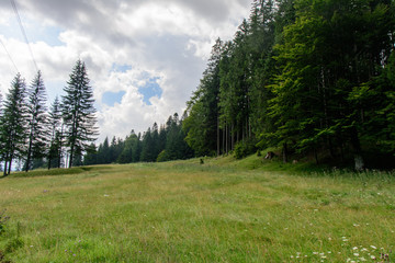 Fototapeta na wymiar Bucegi Mountains, Romania