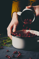 Female hands pouring ripe cranberries, close up