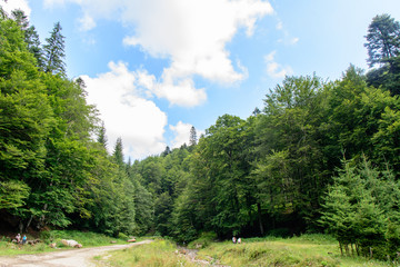 Fototapeta na wymiar Bucegi Mountains, Romania