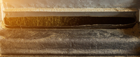 Production of rapeseed oil, grinding of oilseed rape on production equipment, industry, rape seed processing, colza milling, close-up, biodiesel production