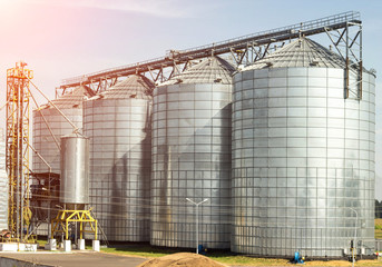Complex for storage of oilseed rape and other grains, agribusiness, farming
