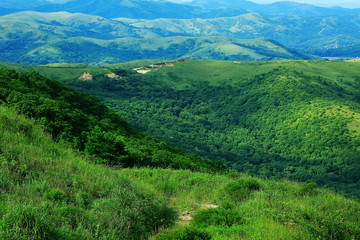 Obraz premium landscape hills with forest