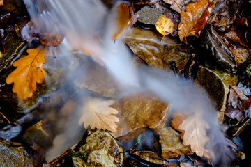 Flow of water over autumn leaves blur