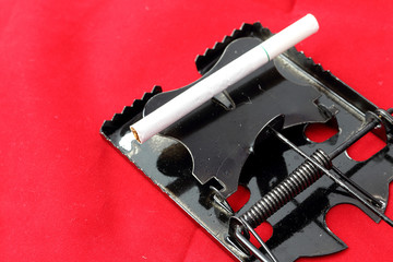 Mouse trap and cigarette