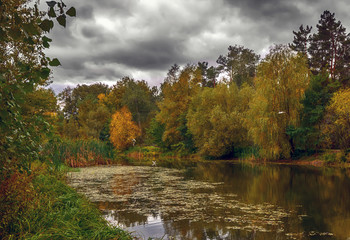 landscape. river. lake. pond. trees. saved. autumn.