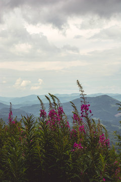 mountains