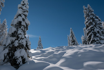 Winter in S&uuml;dtirol