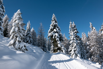 Winter in Südtirol