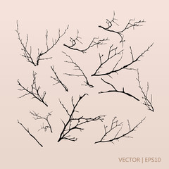 Tree branches. Vector illustration. Tree set