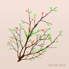 Colorful branch with leaves. Vector illustration
