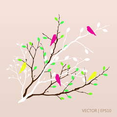 Obraz na płótnie Canvas Colorful trees with birds. Tree branches. Spring vector