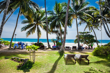 People into a hotel pool near the Mirissa beach. Sri Lanka.
