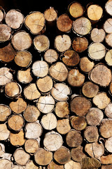 Wood logs storage in the open air, Many sections of logs Firewoods stacked in the open air.