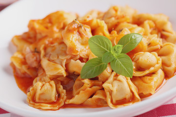 Ravioli under tomato sauce