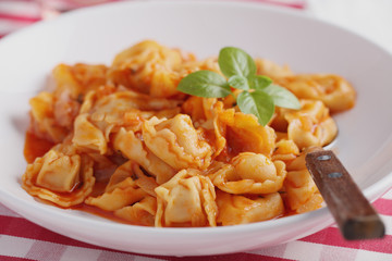 Ravioli under tomato sauce