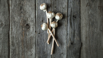 Bunch of garlic heads shot from above on wooden background