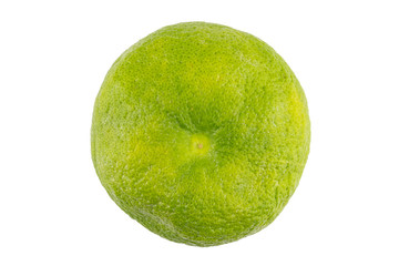 juicy delicious exotic citrus fruit sweater hybrid white grapefruit and pomelo whole on white background isolated