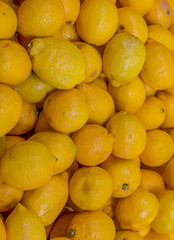 bright sunny pattern vertical counter market lot of fruit lemon base lemonade cake dessert design