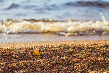 Obraz premium Yellow autumn leaf on a beach with blurred waves on a background on sunny day. 