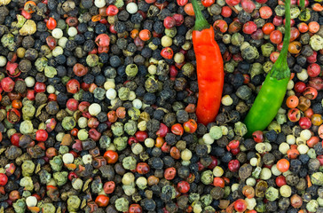mix of spicy white fresh pink black peppercorns with fresh pod of green red chili peppers...