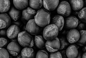 hazelnut many nuts background base gray sepia effect close-up dark pattern base design grunge