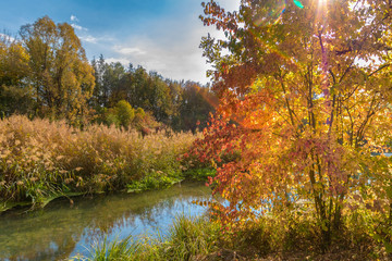 Obraz premium Herbst an der Donau bei Straubing