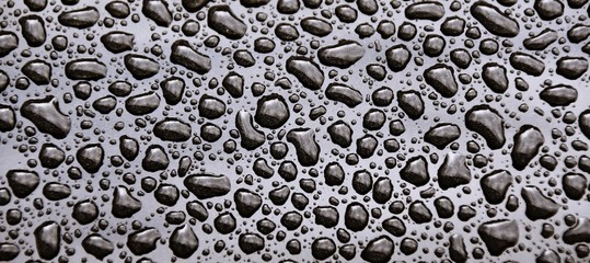 close up of rain drops on a black background