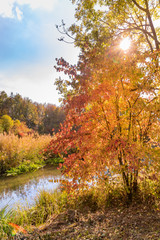 Herbst an der Donau bei Straubing