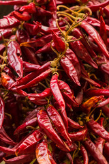 chili pepper dried whole fruit spicy seasoning row of many pods base design culinary base of dishes asia