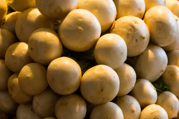 stack of round fruits of a white radish close-up of a base design of a vegetable light a lot of vegetables