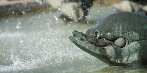 Delphin-Brunnen in Nizza © Thomas