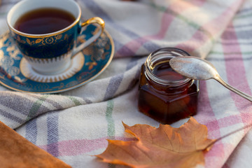 Autumnal picnic with tea at woolen blanket