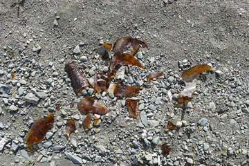 glass shards that are harmful to the environment,